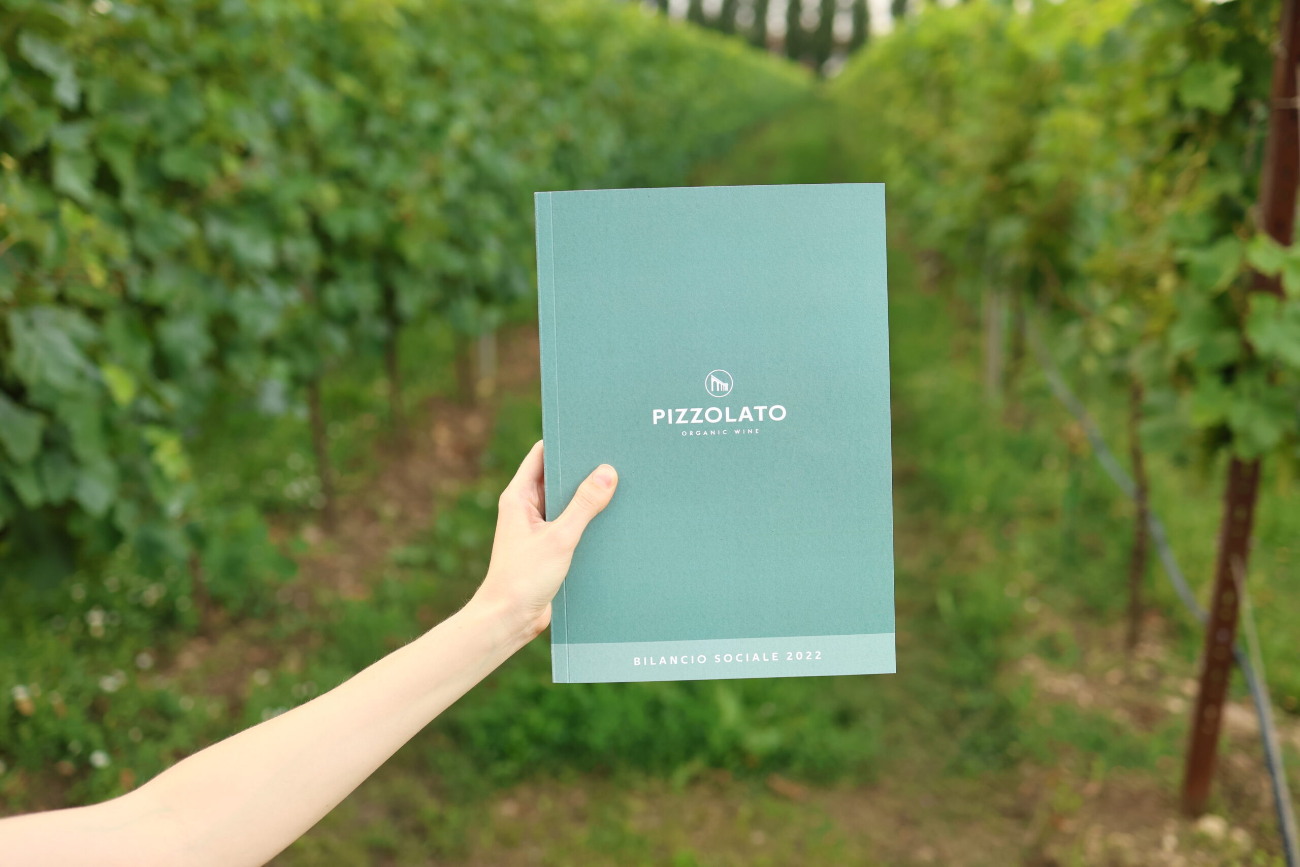 Il “bio” secondo Pizzolato